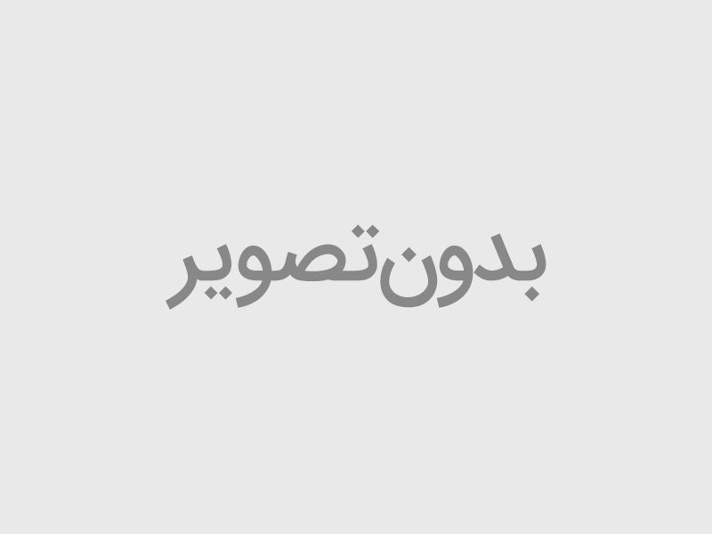 نمونه دسته محصولات